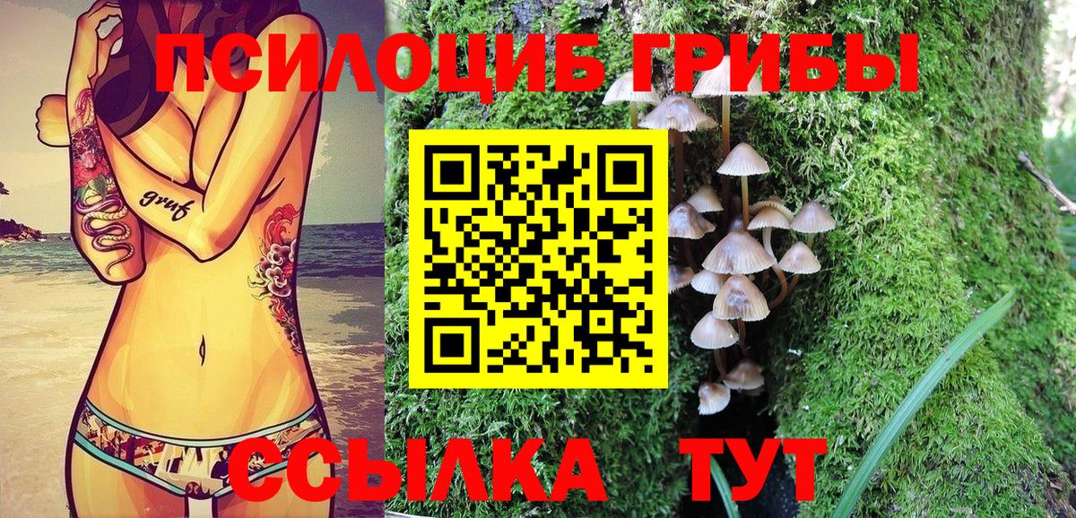 Галлюциногенные грибы GOLDEN TEACHER  Вход с VPN  Новодвинск 