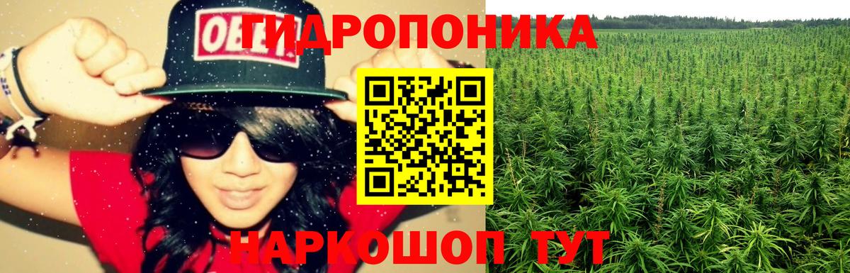 Новодвинск  Канабис Bruce Banner  Бошки марихуана ГИДРОПОН  Вход с VPN  Канабис план 